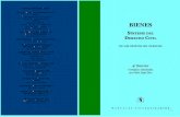Sintesis Del Derecho Civil - Bienes - Abraham Kiverstein h