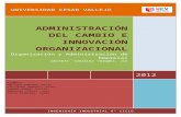 Informe Cambio Organizacional e Innovación