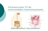 TXX de Enfermedades Gastrointestinales