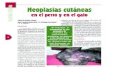 Neoplasias Cutaneas de Perros y Gatos