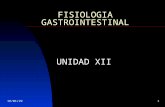 Fisiologia Gastrointestinal Principios Generales