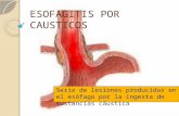 Esofagitis Por Causticos 2