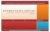 Monografia de Estructura Social