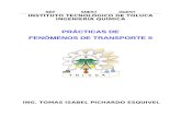 Manual de Practicas de Fenomenos de Transporte II