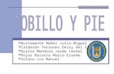 Tobillo y Pie Imagenologia