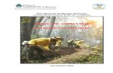 25531182 Manual Del Combatiente en Incendios Forestales PNMF 2006 (1)