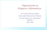 organizacion proyecto informatico