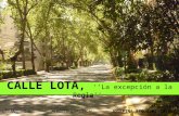 Calle LOTA