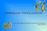 1.2  ARREGLOS TOPOLOGICOS