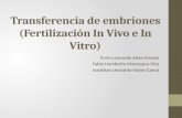 Transferencia de embriones (Fertilización In Vivo e In Vitro)