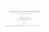 Patología mamaria con imagenes 2012