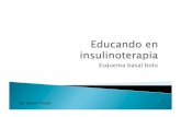 Educando en insulinoterapia: Esquema basal bolo; Taller IV