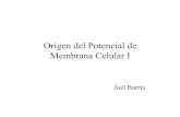 Clase Origen Del Potencial Membrana Celular I