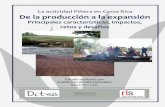 Estudio La actividad Piñera en Costa Rica De la producción a la expansión Principales características, impactos, retos y desafíos. Ditso.