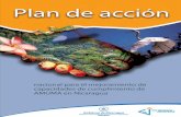 Plan de Accion Nacional para el cumplimiento de Tratados Internacionales Ambientales en Nicaragua