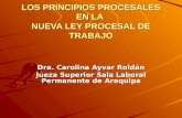 Los Principios Procesales Nueva Ley Procesal de Trabajo - Ley 29497 - Dra. Carolina Ayvar Roldan