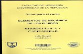 Mecánica de fluidos HIDROSTÁTICA Y CAPILARIDAD Julio Borghi (Universidad de la República Oriental
