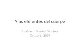 7.) Vias eferentes del cuerpo piramidal, cortico nuclear y extrapiramidal - Prof. Freddy Sánchez