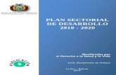 Julien Dupuy - Plan Sectorial de Desarrollo 2010-2020 Movilizados Por El Derecho a La Salud y a La Vida
