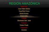 Región Amazónica DIAPOSITIVA