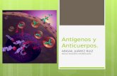 Antígenos y Anticuerpos