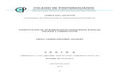 Constitucion de Intermediarios Financieros Solidos Fr