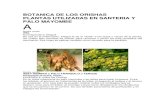 87229721 Botanica de Los Orishas