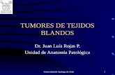 Tumores de Tejidos Blandos Dr Rojas