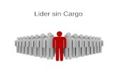 Lider Sin Cargo