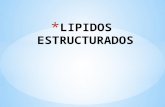 LIPIDOS ESTRUCTURADOS- Exposición