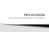 Exposicion Micologia