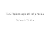 Neuropsicologia de Las Praxias