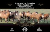 Remate Cabaña Don Antonio
