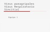 Virus Paragripales