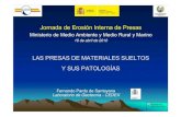 JEIP-02 Presas de Mat Sueltos y Sus Patologias