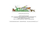 Prop_Munis (con FOTOS)  DIGNIDAD ANIMAL GUATEMALA Programa Esterilización Masiva Perros y Gatos