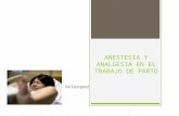 Anestesia y Analgesia