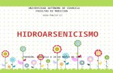HIDROARSENICISMO CRÒNICO REGIONAL ENDÈMICO