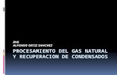 Procesamiento Del Gas Natural y Recuperacion de Condensados