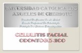 Diapositivas de Exposicion Celulitis Odontogenica Zuleta Cortez