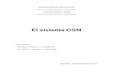 El Sistema GSM