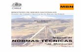Norma Tecnica MBN 2010 CHILE