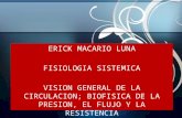Cap 14 Vision General de La Circulacion Biofisica de La Presion, El Flujo y La Resistencia