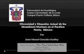 Diversidad y Situación Actual de los Mamíferos Marinos en el Pacífico Norte, México