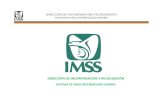 Sistema de Pago Referenciado IMSS - SIPARE