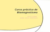 Taller de Biomagnetismo Practico Taller de Biomagnetismo.docx