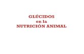 Nutricion animal -  Carbohidratos