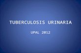 Tuberculosis Urinaria