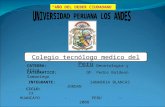 Colegio Tecnologo Medico Del Peru