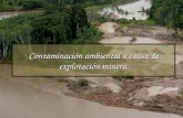 21- Contaminacion Ambiental a Causa de Explotacion Minera 2012